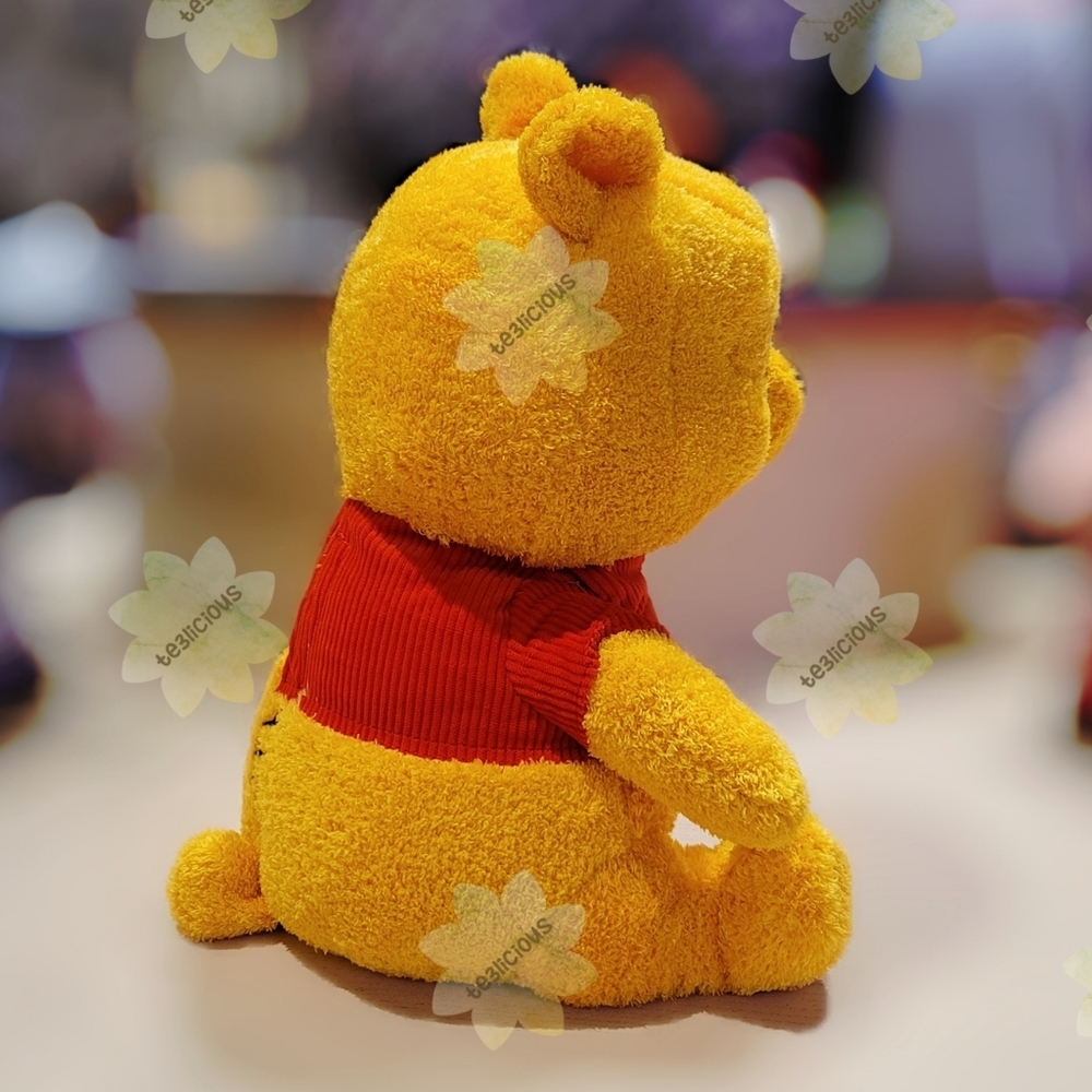 DISNEY PARKS POOH EMOTIONAL WEIGHTED PLUSH - Picture 4 of 6